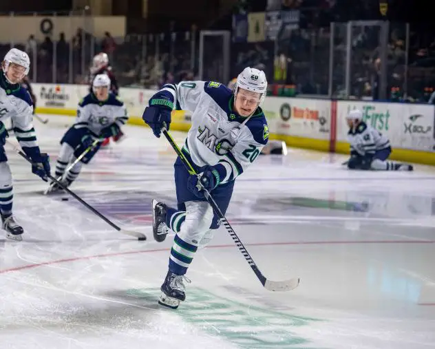 Maine Mariners forward Ty Cheveldayoff