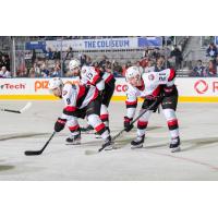 Belleville Senators' Angus Crookshank, Egor Sokolov, and Maxence Guenette on the ice